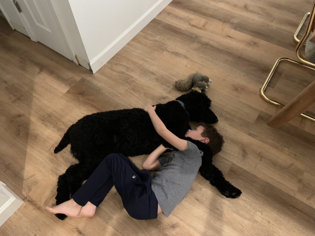 goodboyfalcon's tweet photo. @realcryptoface Dogs are the best 🙌🏻 https://t.co/PYtUYVajEi