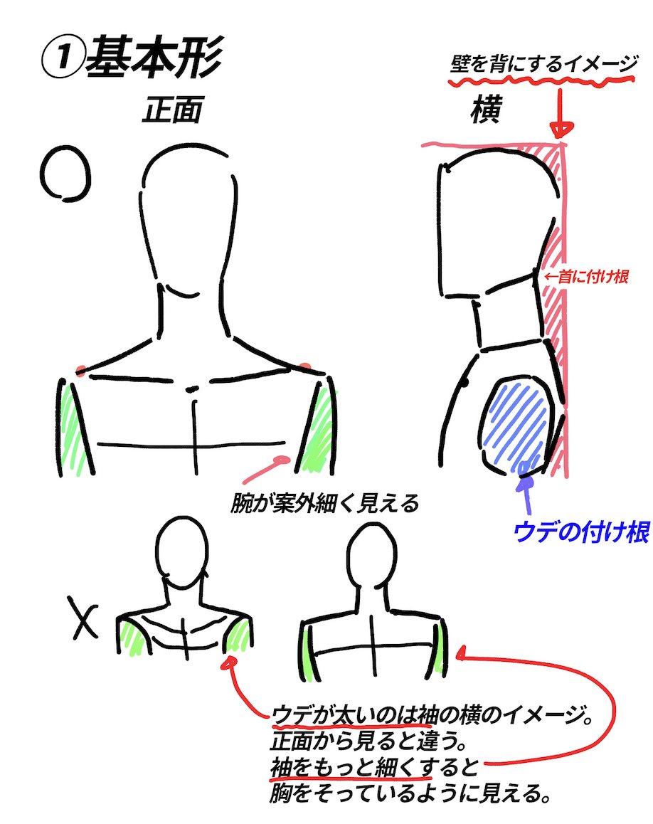 ●肩の描き方まとめ
①正面横の基本形を理解する
②肩は上から見るとカーブしている
③左右の肩は連動して動く
④動きたり、寝たりすると首は隠れる
曖昧になりがちな首肩周りですがとにかく【観察】することです。
肩は複雑すぎるので常に見ることを怠らないようにする
!! 