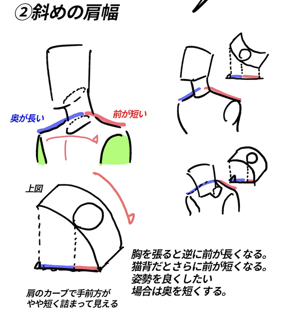 ●肩の描き方まとめ
①正面横の基本形を理解する
②肩は上から見るとカーブしている
③左右の肩は連動して動く
④動きたり、寝たりすると首は隠れる
曖昧になりがちな首肩周りですがとにかく【観察】することです。
肩は複雑すぎるので常に見ることを怠らないようにする
!! 