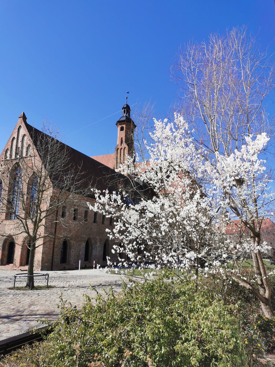 Das Herz hat auch seine Ostern, wo der Stein vom Grabe springt, den wir dem Staub
nur weihten. Und was du ewig liebst, ist ewig dein.

Emanuel Geibel