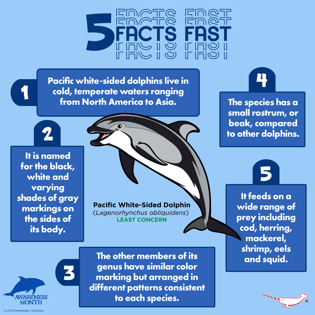 PepomintNarwhal's tweet photo. #5FactsFast #PacificWhiteSidedDolphin
This art is also available as a collectible pin or ornament on our #DolphinAwarenessMonth Kickstarter: https://t.co/bnH8SLT9yb
Hurry! 5 Days Left To Pledge! https://t.co/umUkca9zln