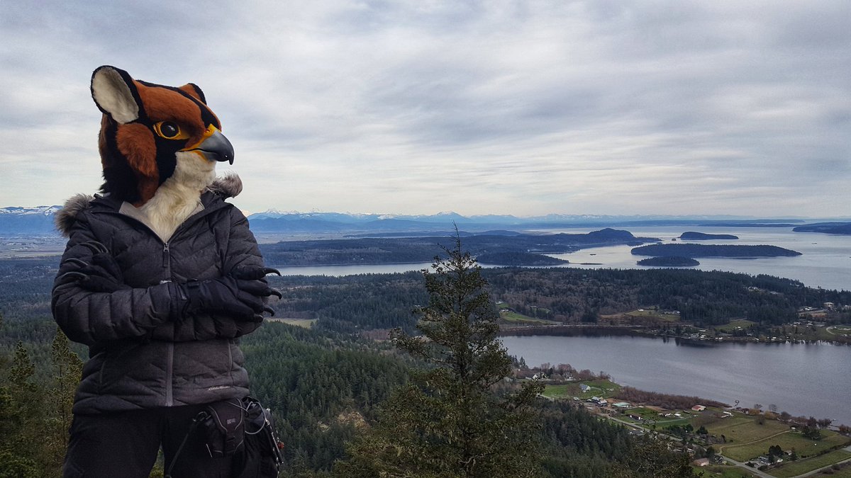 Mythimorph's tweet photo. Head's up; I'm moving out of Colorado &amp; relocating to Washington state in 2 weeks time!

Metamorphic &amp; pin merch will be unavailable April 13 — approx May 1st.

I'll have a big workshop space, my new "lab"... so I can create m̶u̶t̶a̶n̶t̶ ̶e̶x̶p̶e̶r̶i̶m̶e̶n̶t̶s̶ costumes again! https://t.co/m7lwNthtLx