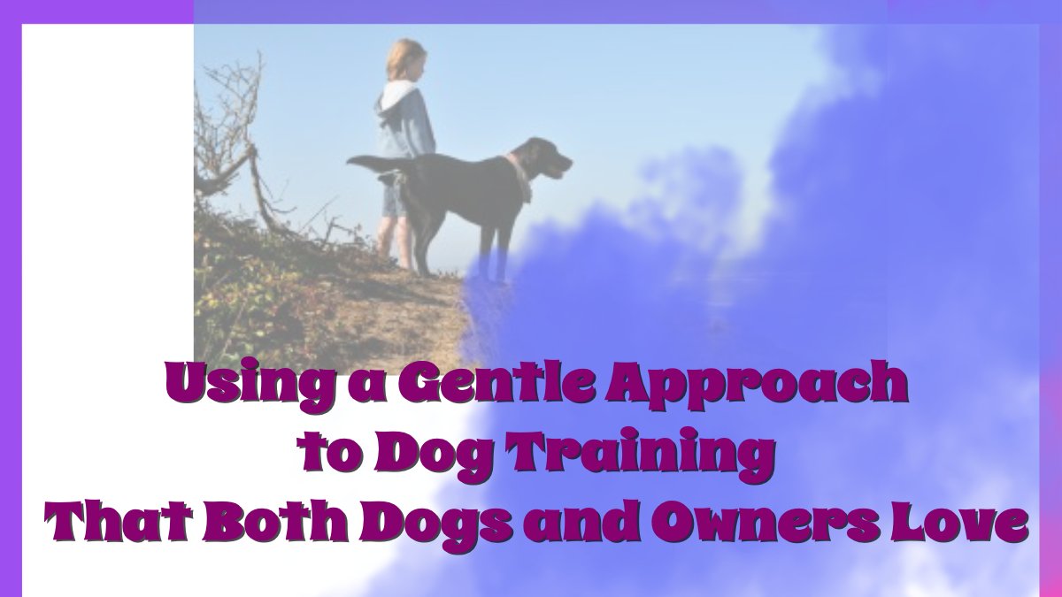 PackLeader01's tweet photo. Nowadays, we value the great importance of not forcing the dog to modify his behavior by using a more natural, gentle dog training method that appeals to the dog’s natural instincts. ##dogtrainingtips #ObedientDog https://t.co/wKrP7neRxs https://t.co/3FTm9Ig43P