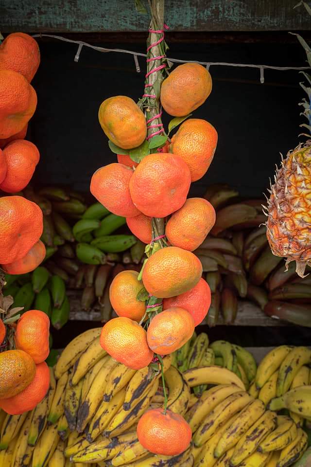 Tierra_Pinolera's tweet photo. Esta variedad de frutas y colores la pueden encontrar en la carretera El Crucero, Managua😍 desde las 6 am hasta la 6 pm pueden disfrutar de estas deliciosas frutas que tenemos en nuestro país 🇳🇮

🍉🥭🍊🍍🍋🥥🥑🍑 #Verano2021
#SemanaSanta2021
📸 @DalKerr https://t.co/RBh3wjxEb2
