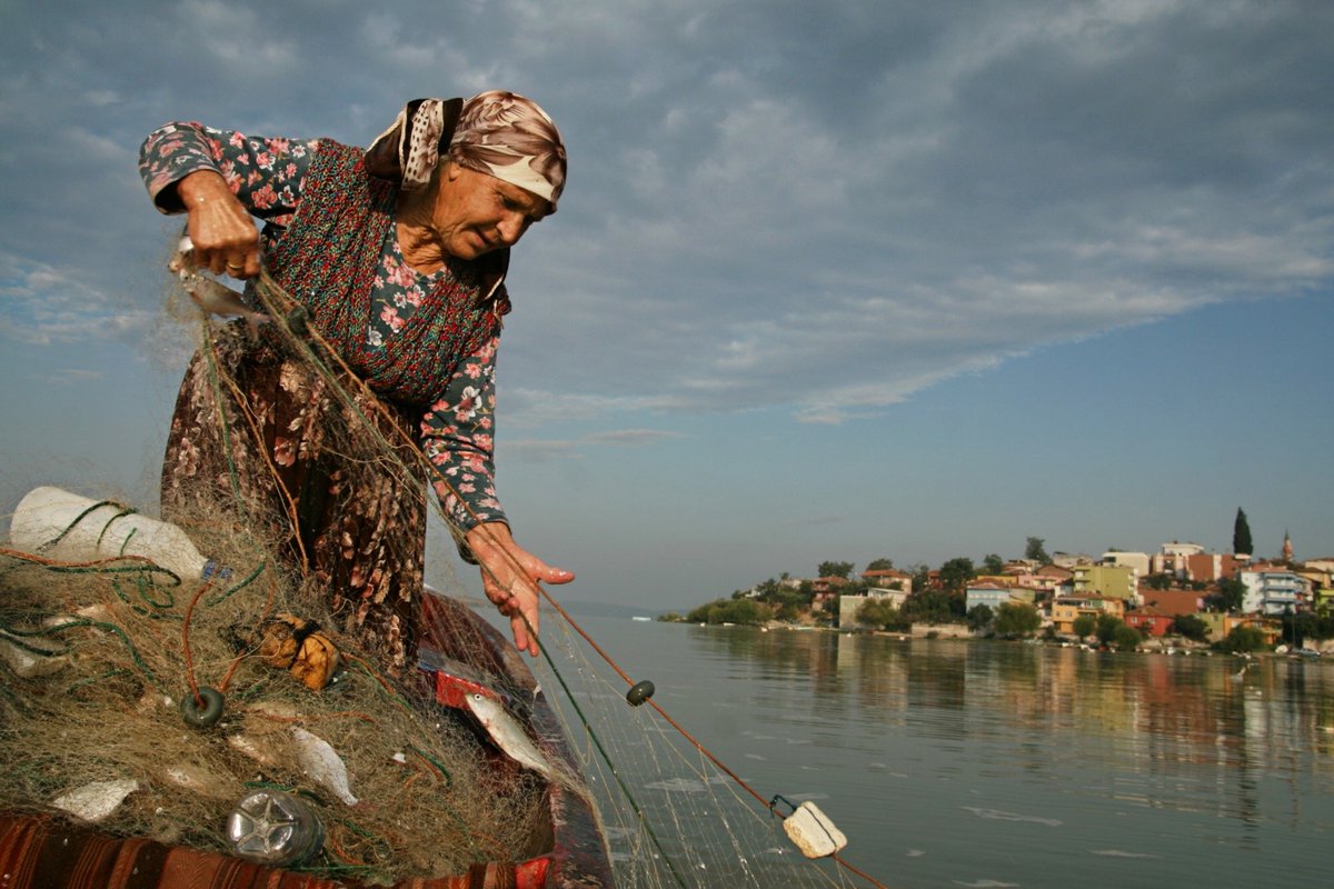 faoturkiye's tweet photo. 🐟#FISHCap event aims to create a platform for diverse stakeholders to discuss good practices and to share ideas about the industry’s vision for building the #sustainable #aquaculture and #fisheries sectors. 

👉https://t.co/tczuNQEdGA https://t.co/djqUBpzRBM