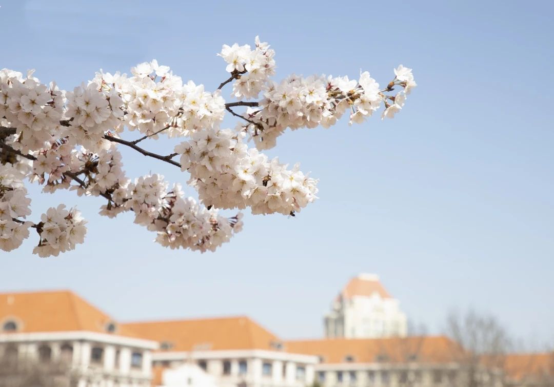 Ocean University of China tweet media