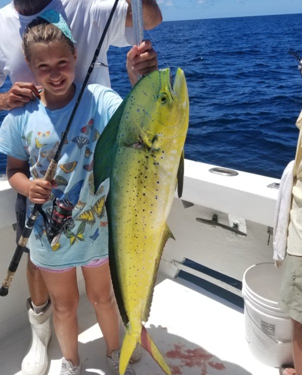 VondakayF's tweet photo. @PosseTree @TwisterFishing My 11 year old caught this Mahi last year. She loves to fish! https://t.co/aFvJCQA9J2