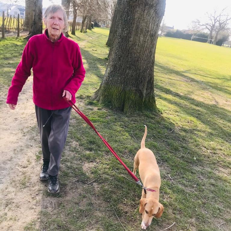 AgeUKTunWells's tweet photo. Claire &amp; her client went for a lovely walk in the sun!

We all have an elder in our lives, in one shape or another. As lockdown ends, many older people will still be nervous about going outside, so please don't forget to check on them

Just checking will make all the difference❤️ https://t.co/zkHuvCxkGr