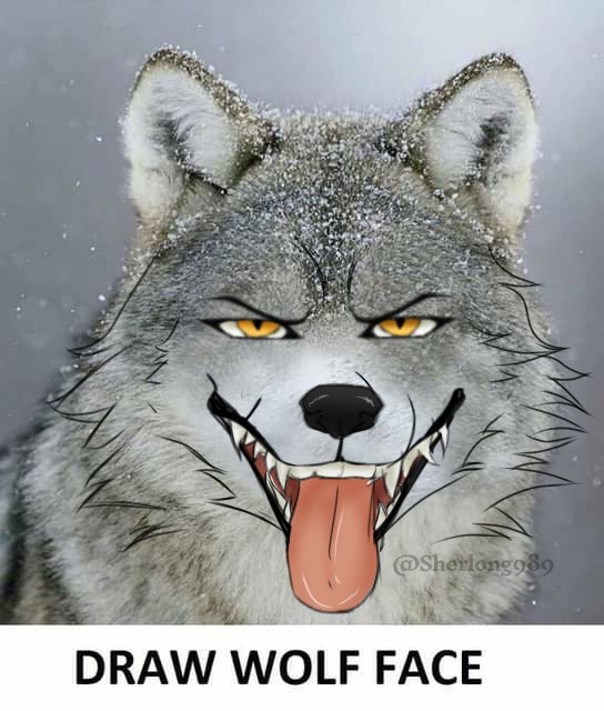 SherlongArts989's tweet photo. Yes 

#drawwolfface  #ChallengeAccepted  #furryartwork  #digitalart  #Furry #ArtistOnTwitter  #ibisPaintX https://t.co/0x1a3J9T5j