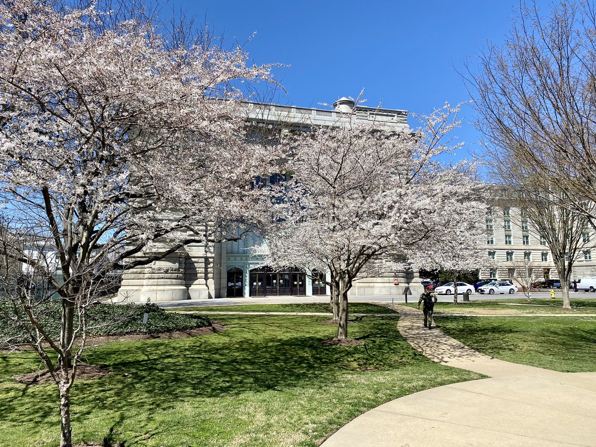 NavyAthletics's tweet photo. Spring is in full effect on the Yard🌸😍

#GoNavy https://t.co/l7V6ouY26S