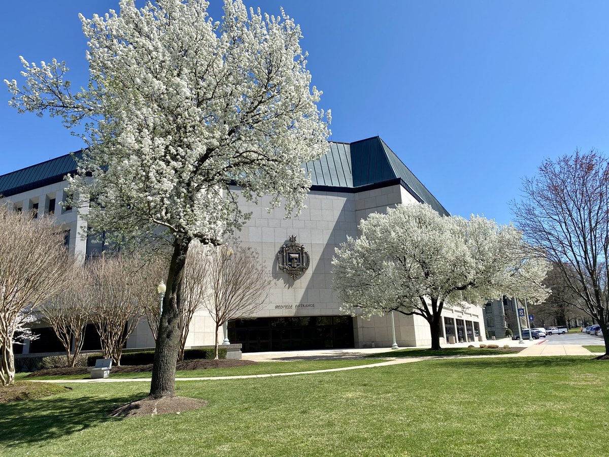NavyAthletics's tweet photo. Spring is in full effect on the Yard🌸😍

#GoNavy https://t.co/l7V6ouY26S