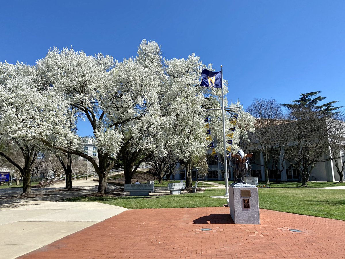 NavyAthletics's tweet photo. Spring is in full effect on the Yard🌸😍

#GoNavy https://t.co/l7V6ouY26S