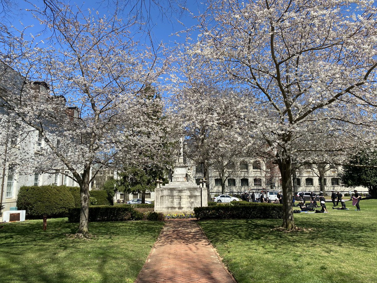 NavyAthletics's tweet photo. Spring is in full effect on the Yard🌸😍

#GoNavy https://t.co/l7V6ouY26S