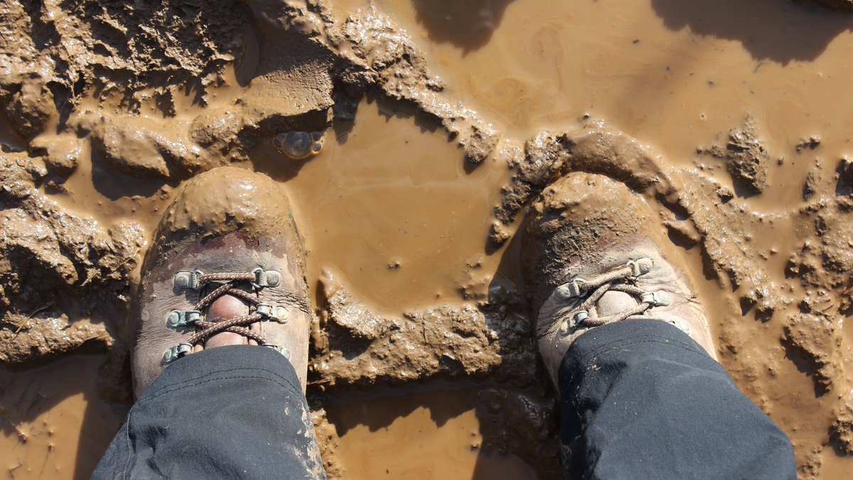 NYSDEC's tweet photo. Now that spring is here, so is mud season. If you come across a muddy trail, walk right through the center of it to prevent trail widening &amp; protect delicate plant life. For more spring recreation tips: https://t.co/IV5ZTxpzlD.  #LeaveNoTraceTuesday @leavenotrace 
📷 fiddledydee https://t.co/azdzKPulSg