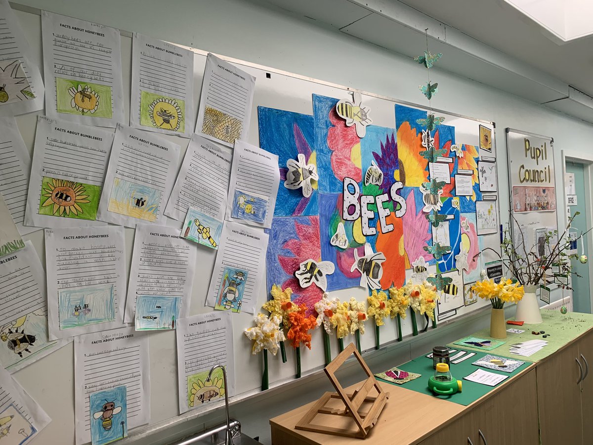 RhynieSchool's tweet photo. Our bee display wall is new and improved! #collaborative planning and work across the school #bees #art #craft #beeinfo #savethebees ๐๐๐ #greatwork ๐๐ https://t.co/DfUZg1BSDT