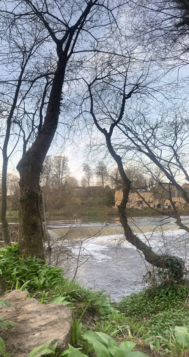 Evening walks at home! #walkshire