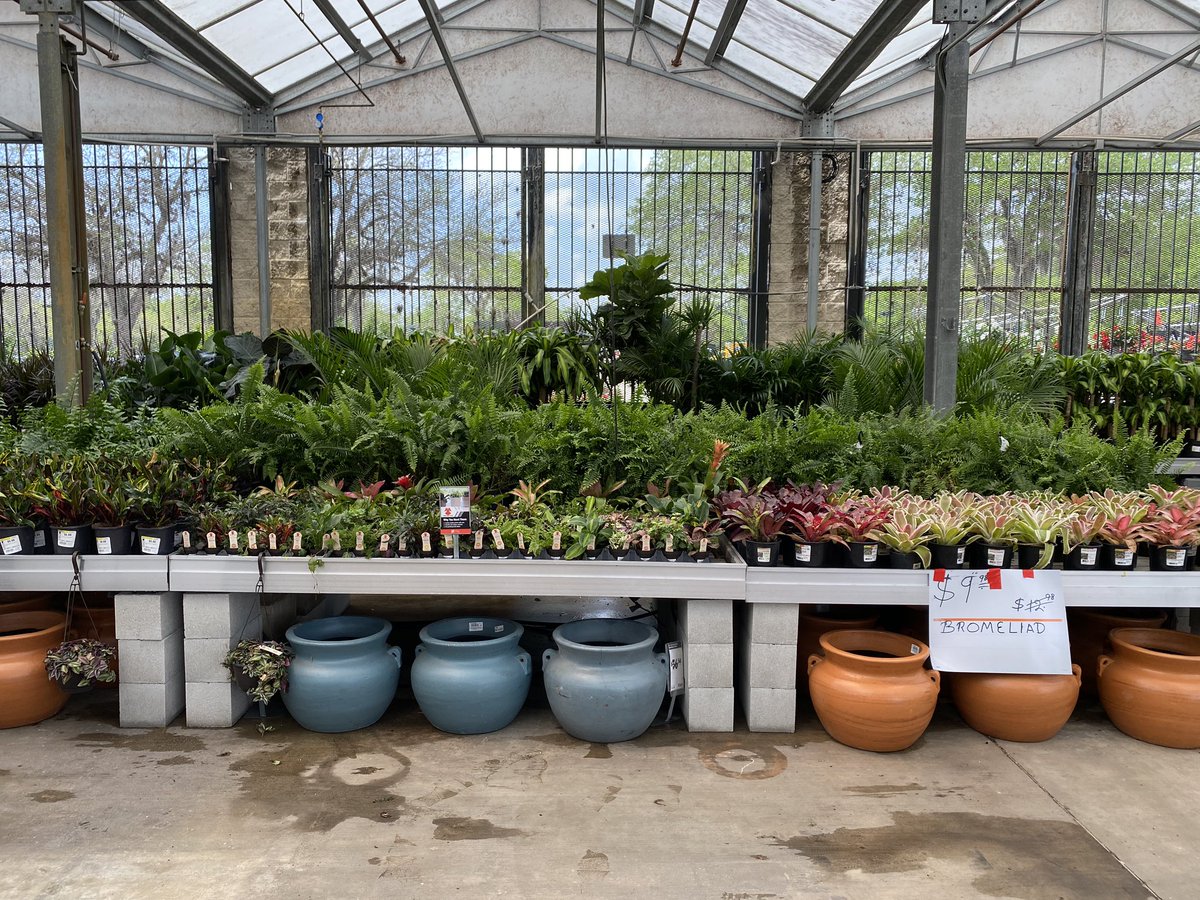 GregWilley4's tweet photo. HD 6323 Orange City Florida, The store looks good merchandised well. Self watering table store. https://t.co/NAl8vTrCUN