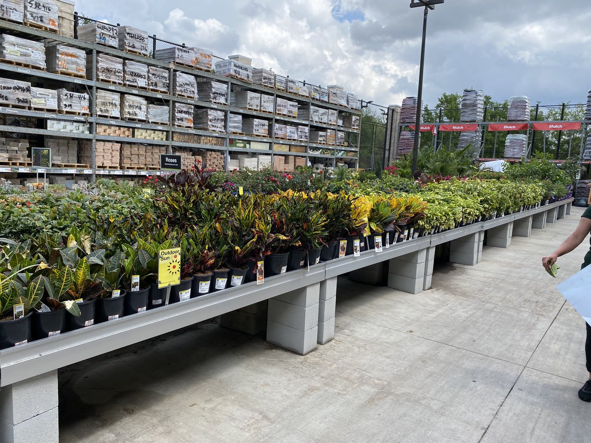GregWilley4's tweet photo. HD 6323 Orange City Florida, The store looks good merchandised well. Self watering table store. https://t.co/NAl8vTrCUN