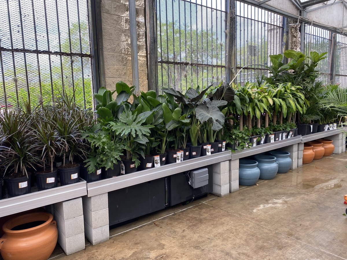 HD 6323 Orange City Florida, The store looks good merchandised well. Self watering table store.
