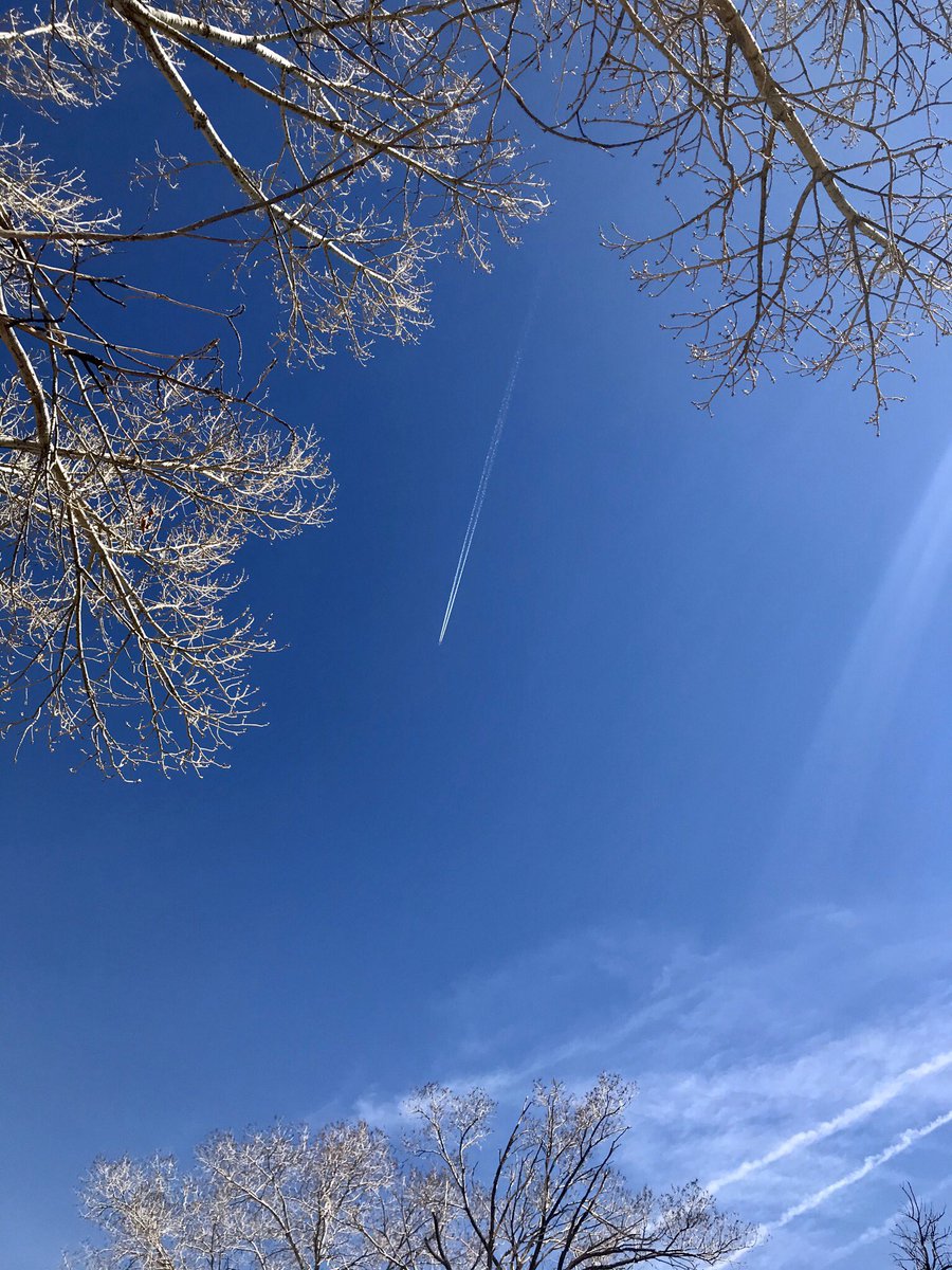 re_yichella's tweet photo. Four more that I collected recently~ ๐
#LikeAnArrow
#SkyForNamjoon https://t.co/FVGYoiFb2G