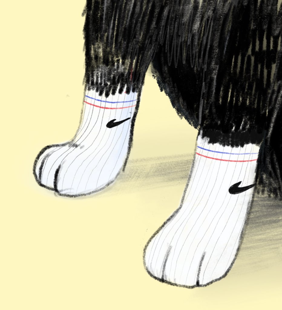 JonathanWWolfe's tweet photo. cat socks https://t.co/6w1ATRb3nm