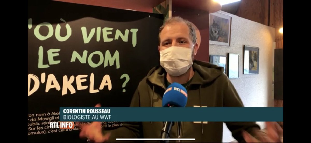 LeJournalduK's tweet photo. Retour sur l’#expo LOUP 🐺 au Parc Naturel Hautes Fagnes-Eifel à #Botrange ce midi dans @rtlinfo BIENVENUE 📺
A revoir ici vers 05:00 👉🏼 https://t.co/Dj0988r0mf https://t.co/TsXUqfJwaI