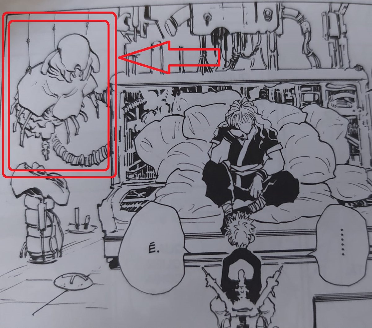 Hunter X Hunter X Collector Is That A Chimera Ant Queen キメラ アントの女王 Corpse At Zoldyck Mansion Hunter X Hunter X Collector Is That A Chimera Ant Queen キメラ アントの女王 Corpse At Zoldyck Mansion