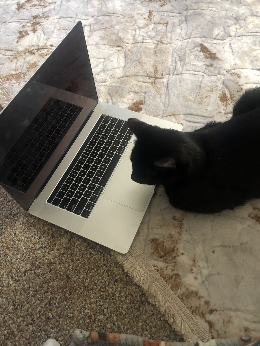 10kBill's tweet image. Very important business to take care of