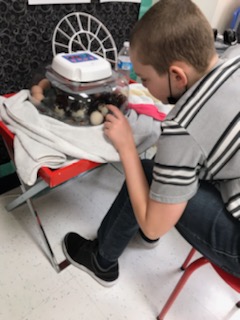 JoshuaISD's tweet photo. What an EGG-ucational assignment! Functional Academic Life Skills students at @LoflinMS learned about the life cycle of chickens by taking care of eggs in an incubator! Some students will get to take the chickens home (w/parent approval!)
#TakeFlightJISD https://t.co/4VnMtn53bv