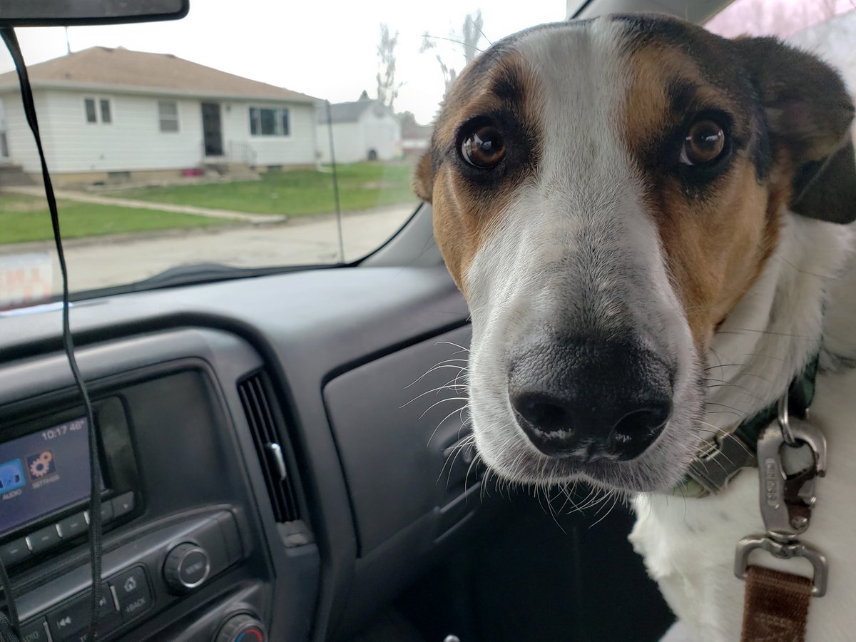 GWatsabaugh's tweet photo. @Opunake56 Hank and I sending you prayers from Humeston, Ia https://t.co/vK84maGVm0