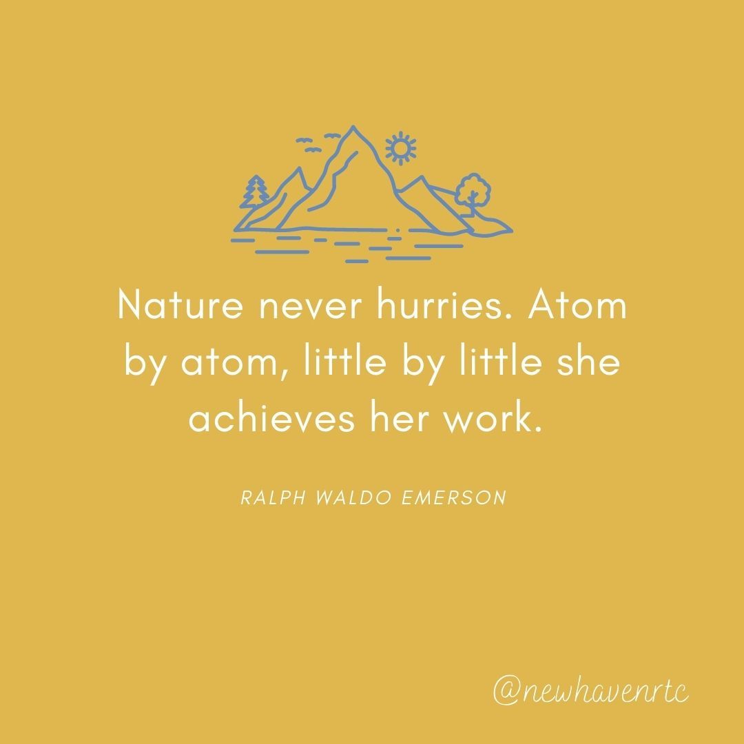NewHavenRTC's tweet photo. Healing takes time. Don't forget that and don't give up. #healing #empower #mentalhealthmatters https://t.co/F4BbU60x5b