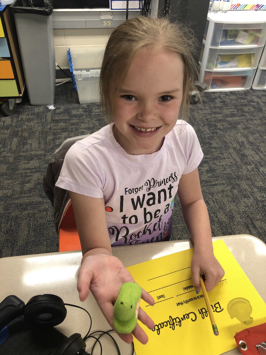 Troyer2nd's tweet photo. We had baby chicks arrive today. We were so excited to watch them hatch. We made houses for them and started making baby books. We can’t wait to have adventures with them. @ConverseElem https://t.co/lUVrP02sZC