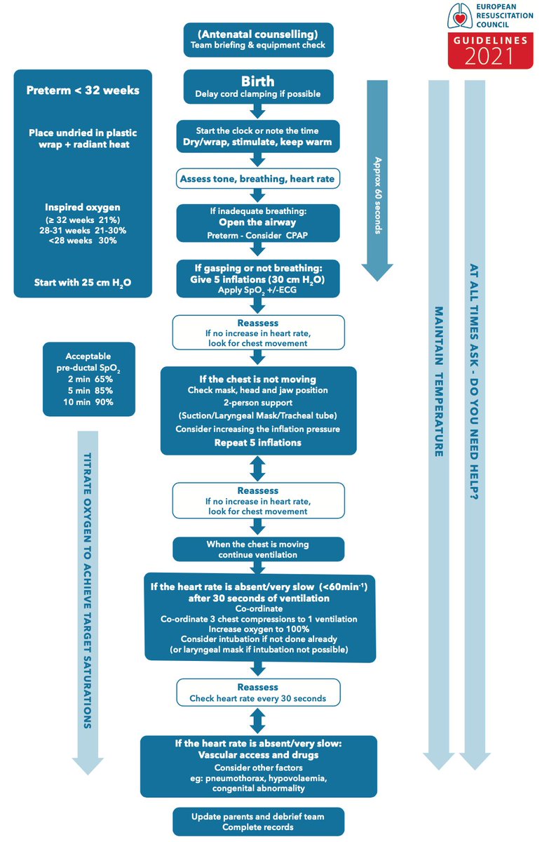 LavacadeEdward's tweet photo. 🆕 ALGORITMOS ERC GUIDELINES 2021 ♥️ https://t.co/gYvzbMpRgQ