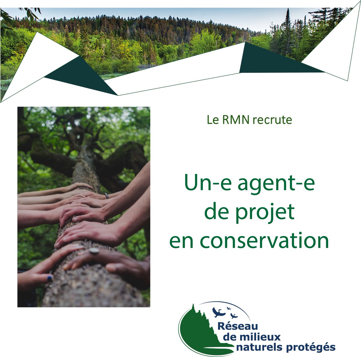 ✨ Le RMN #recrute! ✨
Un-e agent-e de projet en conservation !
Joignez-vous à notre super équipe et faites rayonner la #conservation et la #protection du territoire en terres privées!
rmnat.org/emplois