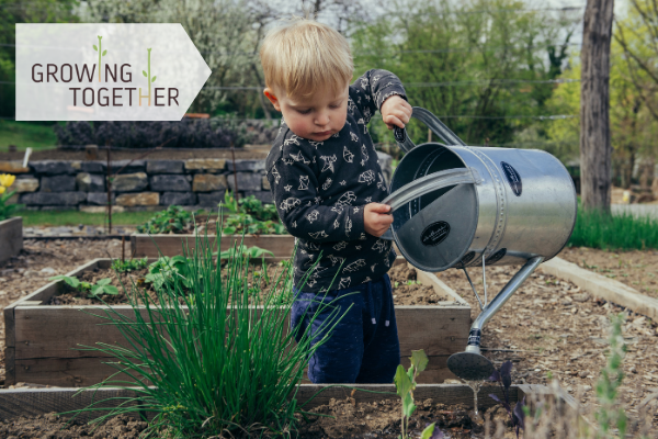 RAMMuseum's tweet image. Are you excited to see spring unfold? Take part in our Growing Together project! 🌱

From next Monday we will share a new seed-planting activity every week for 6 weeks. Plant one a week &amp;amp; learn facts along the way! Seeds will be available from the #ShopatRAMM from this Thurs.