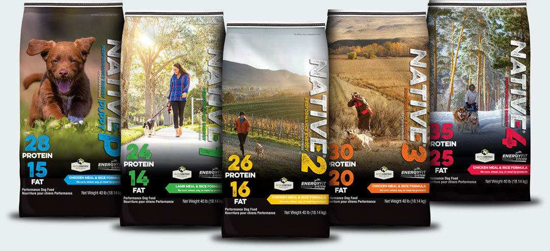 DirectionsMKTG's tweet photo. How a leading animal nutrition company successfully created a new #brand identity and #packaging of its branded performance dog food: https://t.co/ZemHyJn8wx #Casestudy https://t.co/MsBRYQuV6s