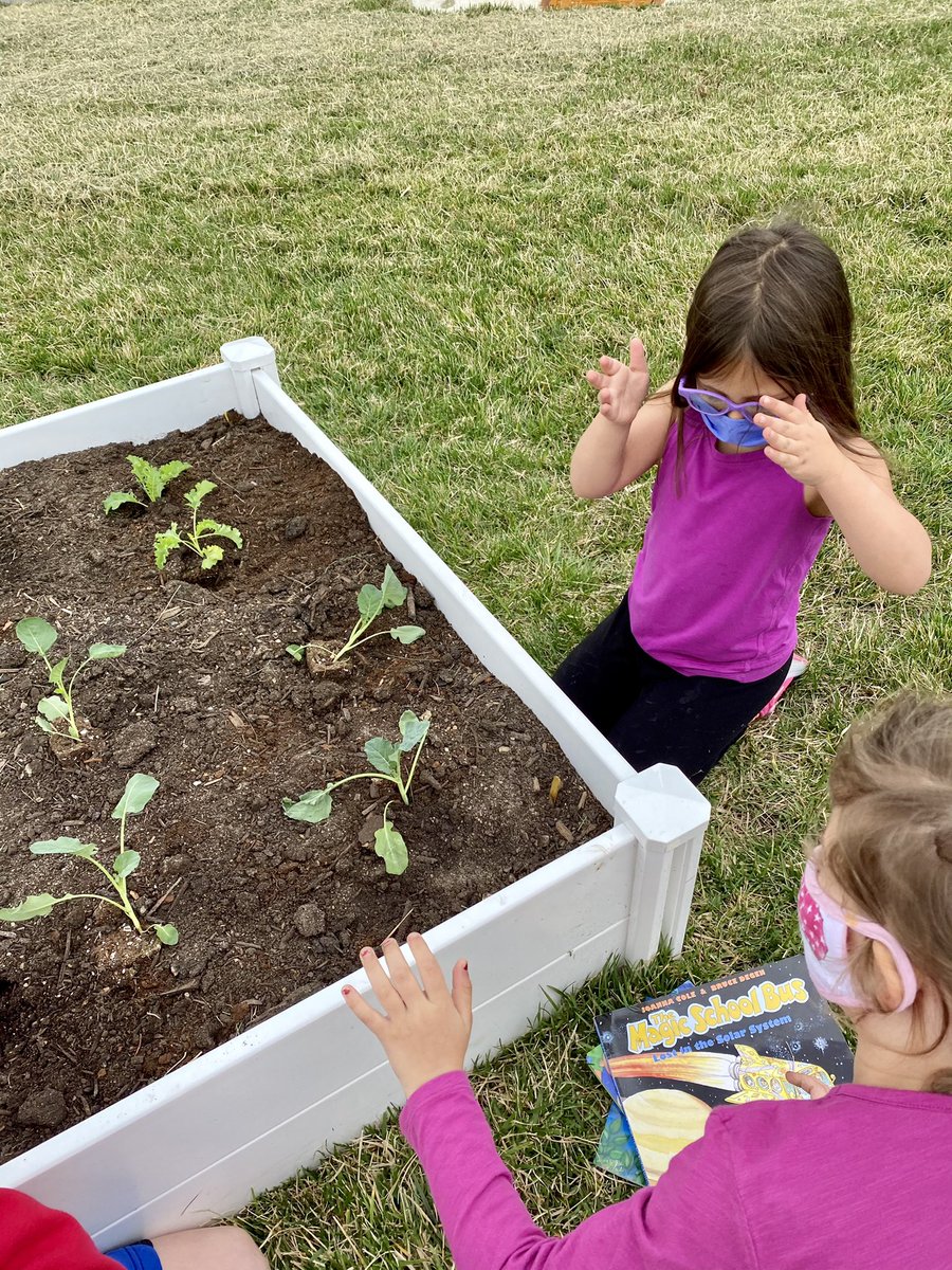 robyn hagerman (@robynhagerman) on Twitter photo Today’s hypothesis: If babies like to play peekaboo then I think baby plants will like it too! We love our garden <a href="/Foundation4SPS/">Foundation for SPS</a> Today’s hypothesis: If babies like to play peekaboo then I think baby plants will like it too! We love our garden <a href="/Foundation4SPS/">Foundation for SPS</a>