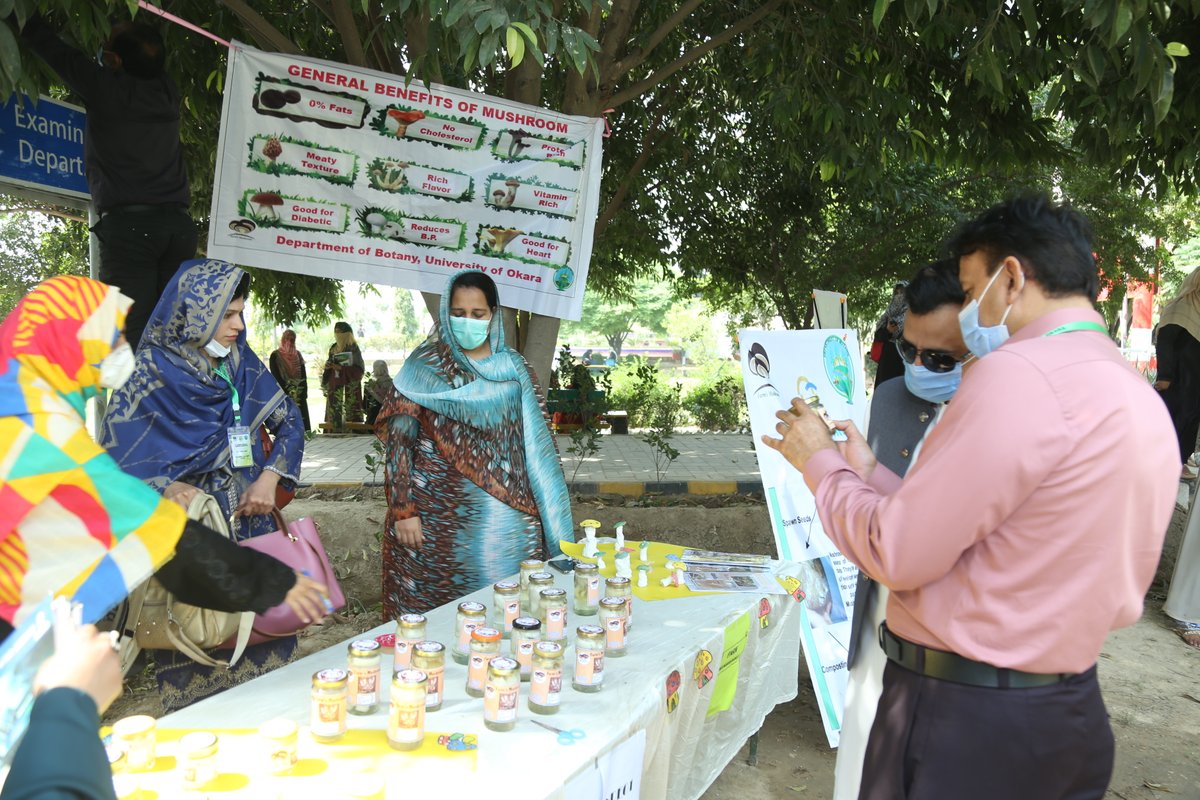 University Of Okara tweet media
