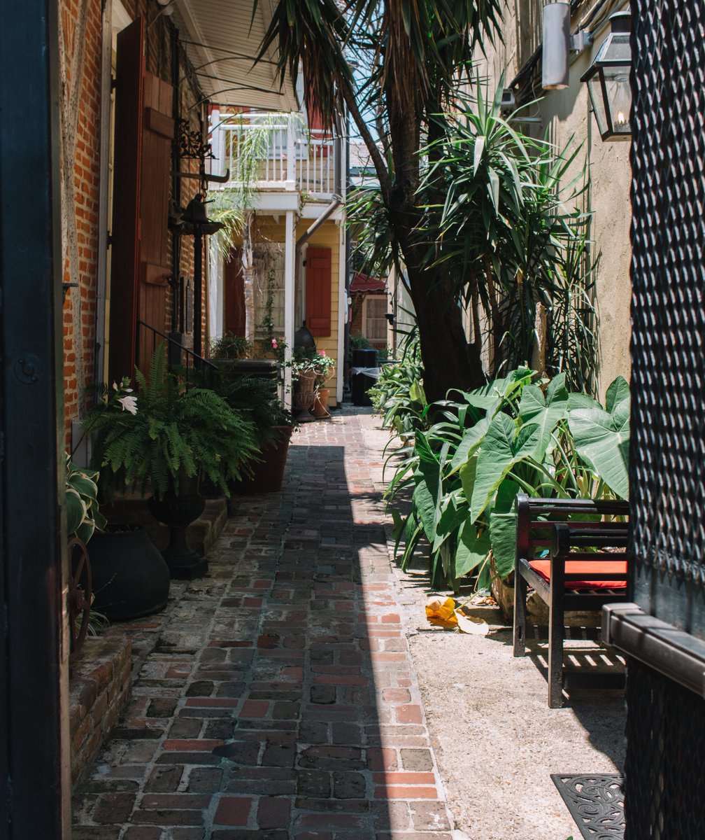 NONativeTours's tweet photo. There is just something about all the hidden nooks and crannies in the French Quarter! 💫 #NativeTours https://t.co/zEUMv0BeQA