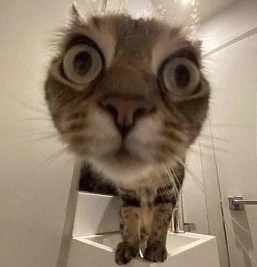 SanderSander tweet media