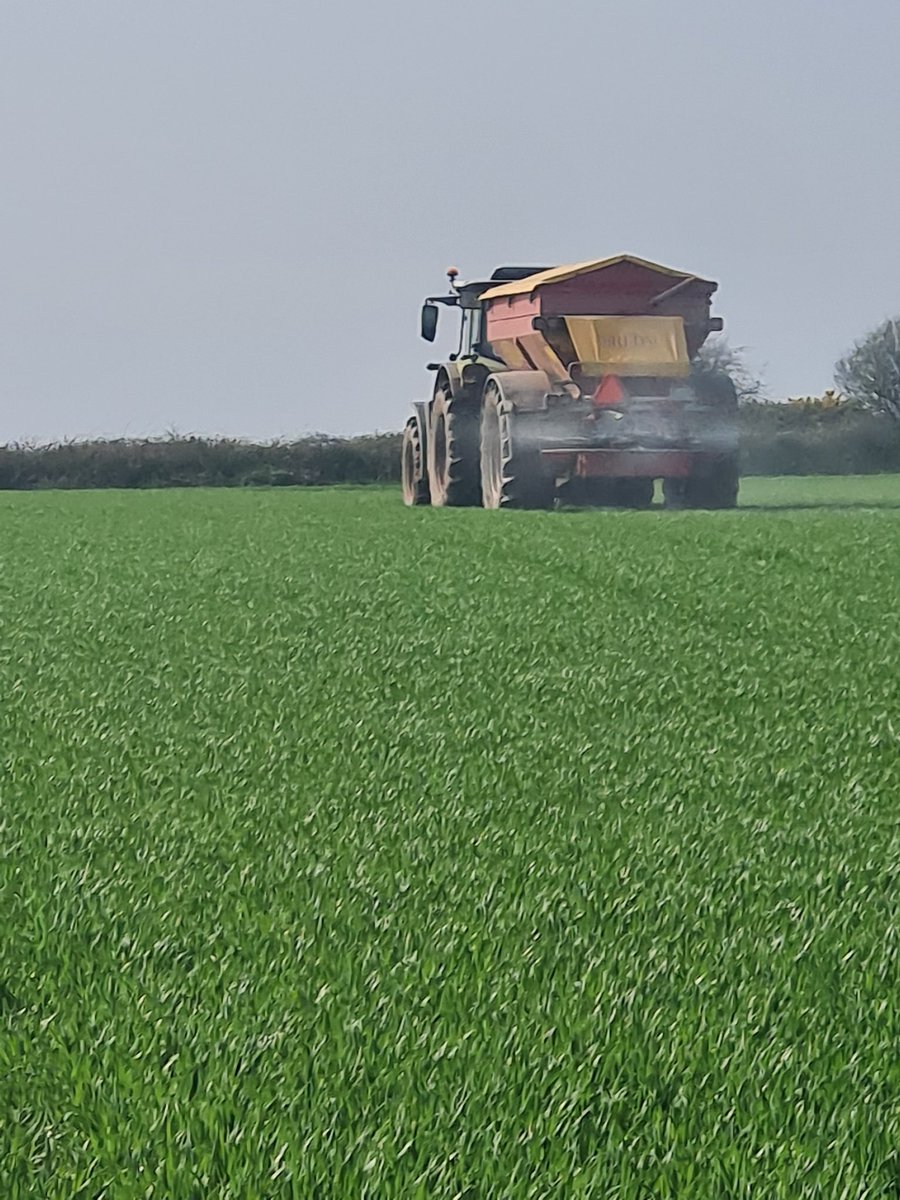 Top dressing winter seed barley for <a href="/seedtechnology/">Seed Technology Ltd</a> in lovely ardmore today
