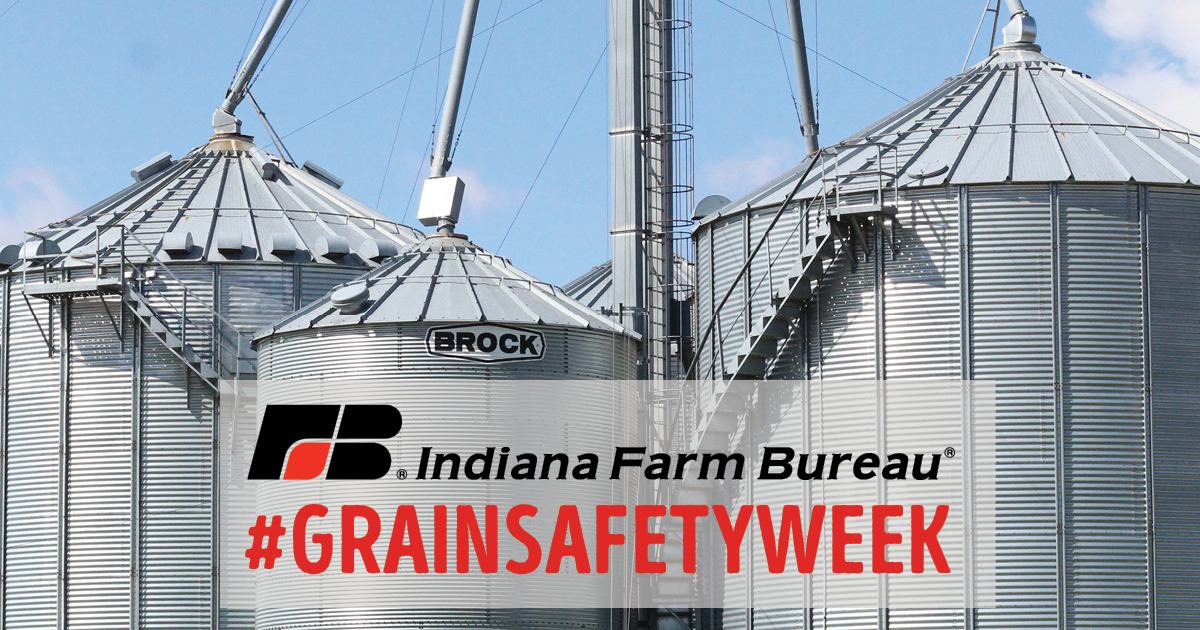 INFarmBureau's tweet photo. It's #GrainSafetyWeek and you can find many valuable resources and free webinars at https://t.co/xypPXFucBd! #StandUp4GrainSafety https://t.co/T4dIUMJOa4