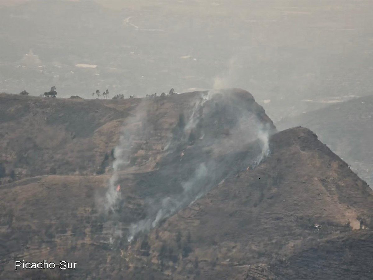 AmbienteEdomex's tweet photo. #ÚltimaHora: Se reporta incendio en el #ParqueEstatal Sierra de Guadalupe, paraje Tepozanes, municipio de #Tlalnepantla. Acuden brigadas de la Coordinación General de Conservación Ecológica de la #SMA. https://t.co/nuXVe1ePxm