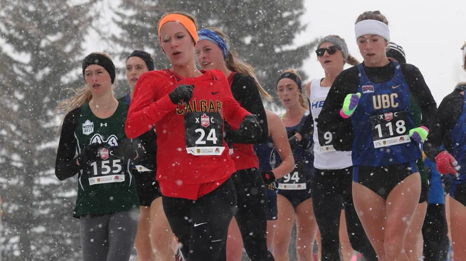 Image from UCalgary Dinos (@UCDinos)