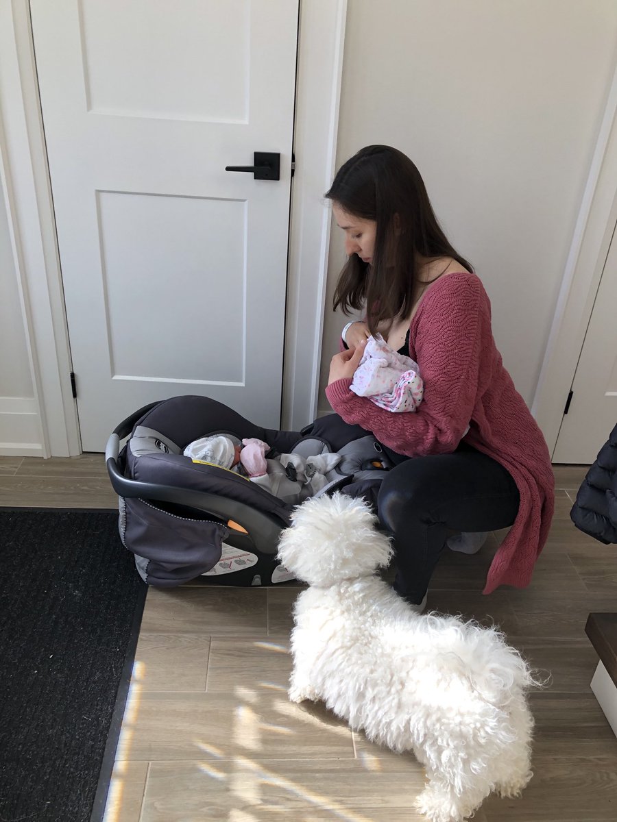 PrimaryCareRD's tweet image. Best day ever, my grand daughter has a family health team to provide amazing care to keep her healthy!   Oakville FHT thank you ⁦@afhto⁩