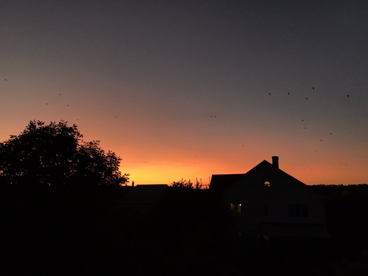 elvphoria's tweet photo. Under the same sky 💜

@BTS_twt https://t.co/GuJ7rYrxLI