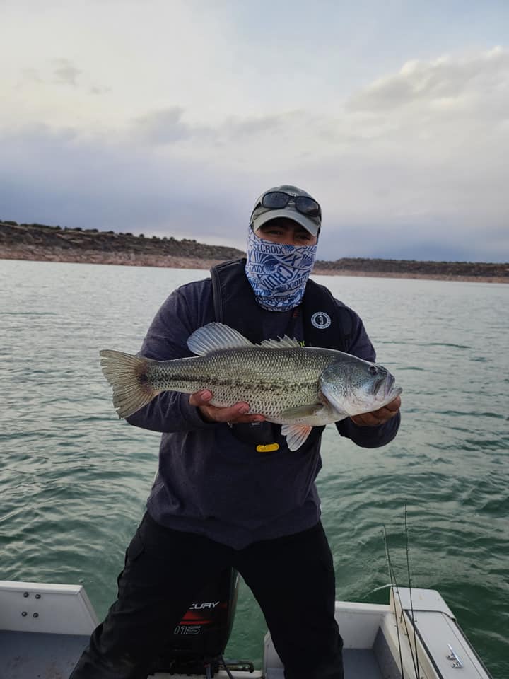 NMDGF's tweet photo. Fishing has been great at Conchas Lake due to the spawn. Here are a few pictures of some fish that have been caught and the #lures they used. #fishnm #conchaslake #conchaslakenm #blackbass #walleye #whitebass #NMBassChallenge https://t.co/Q1fq1Kl4VO