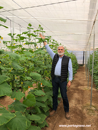 Portagrano's tweet photo. 🆕Ecoinver se dedica a la comercialización de especialidades de pequeño tamaño y apoyada por el concepto #easyQs de Enza Zaden ha creado la marca de calidad "MiniGu bite me" que invita al #consumidor a morder este nuevo pepino🥒😋😋🥒
https://t.co/Hqm4FLBSCN
#MiniGu #EnzaZaden https://t.co/tIiD9qMtTl