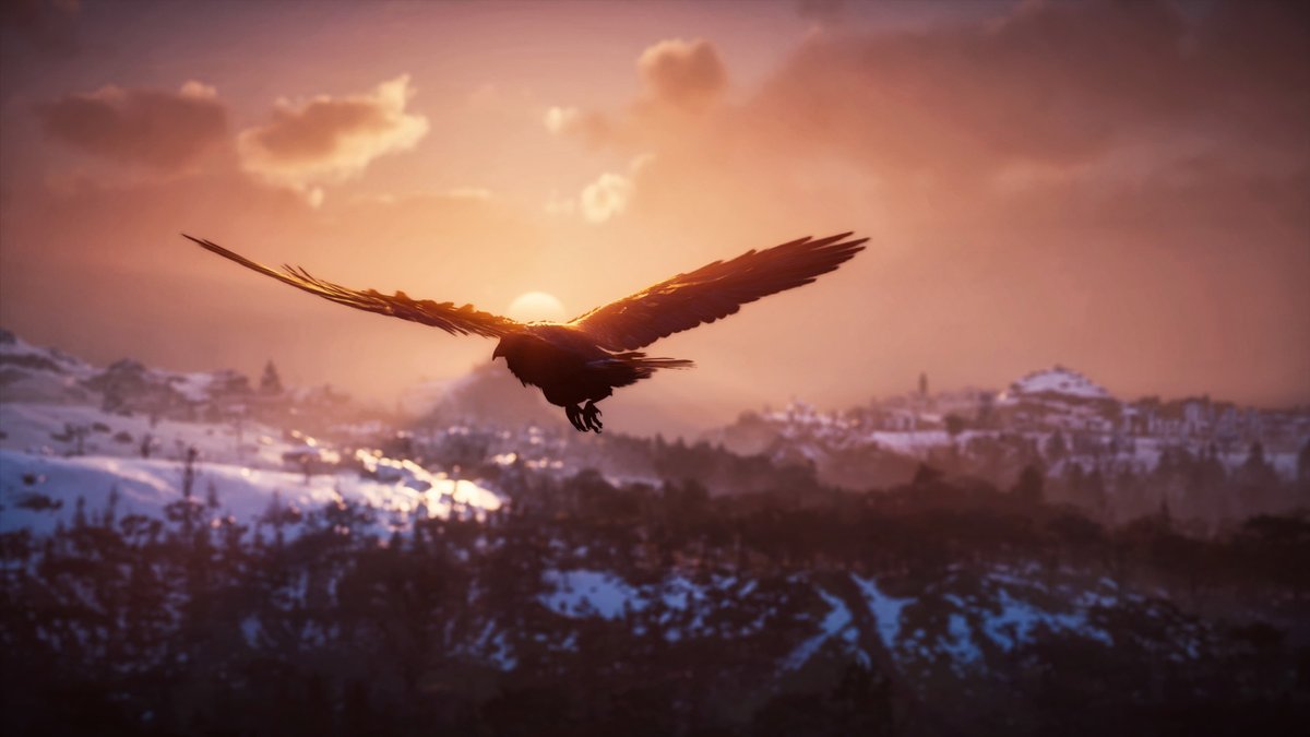 Urkinvp's tweet photo. The Sunset Raven
Tap to enlarge!↔️

Game: #AssassinsCreedValhalla
Developer: @UbisoftMTL

#VGPUnite #GamerGram #VirtualPhotography #ThePhotoMode #TheCapturedCollective #ArtisticofSociety #PS5 #PShare #AssassinsCreed #WorldofVP #VPEclipse https://t.co/GJM6K3uI8F