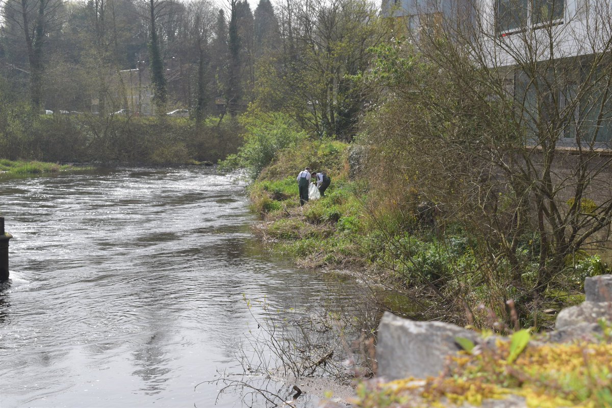 The River Lee tweet media
